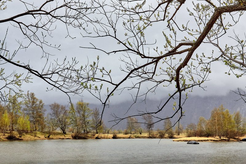 алтай, ледник актру, актру, алтайский край, долина, весна,осень, лиственницы, ледник,ледники Весна на Алтае! фото превью