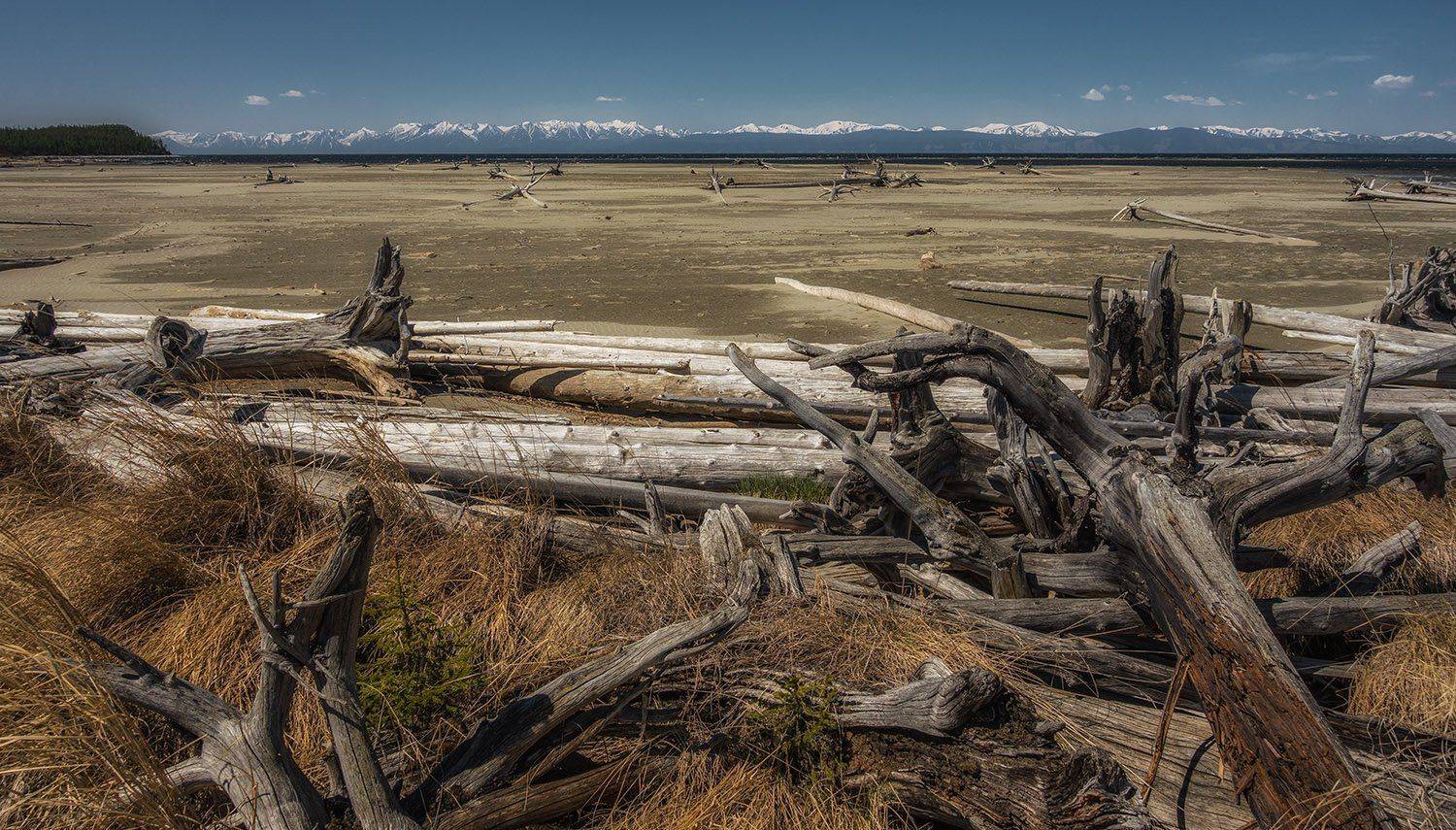 байкал, томпуда, Gunter Graiss