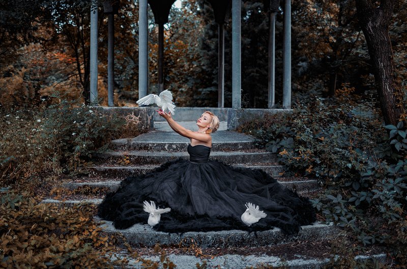 Свобода фото превью