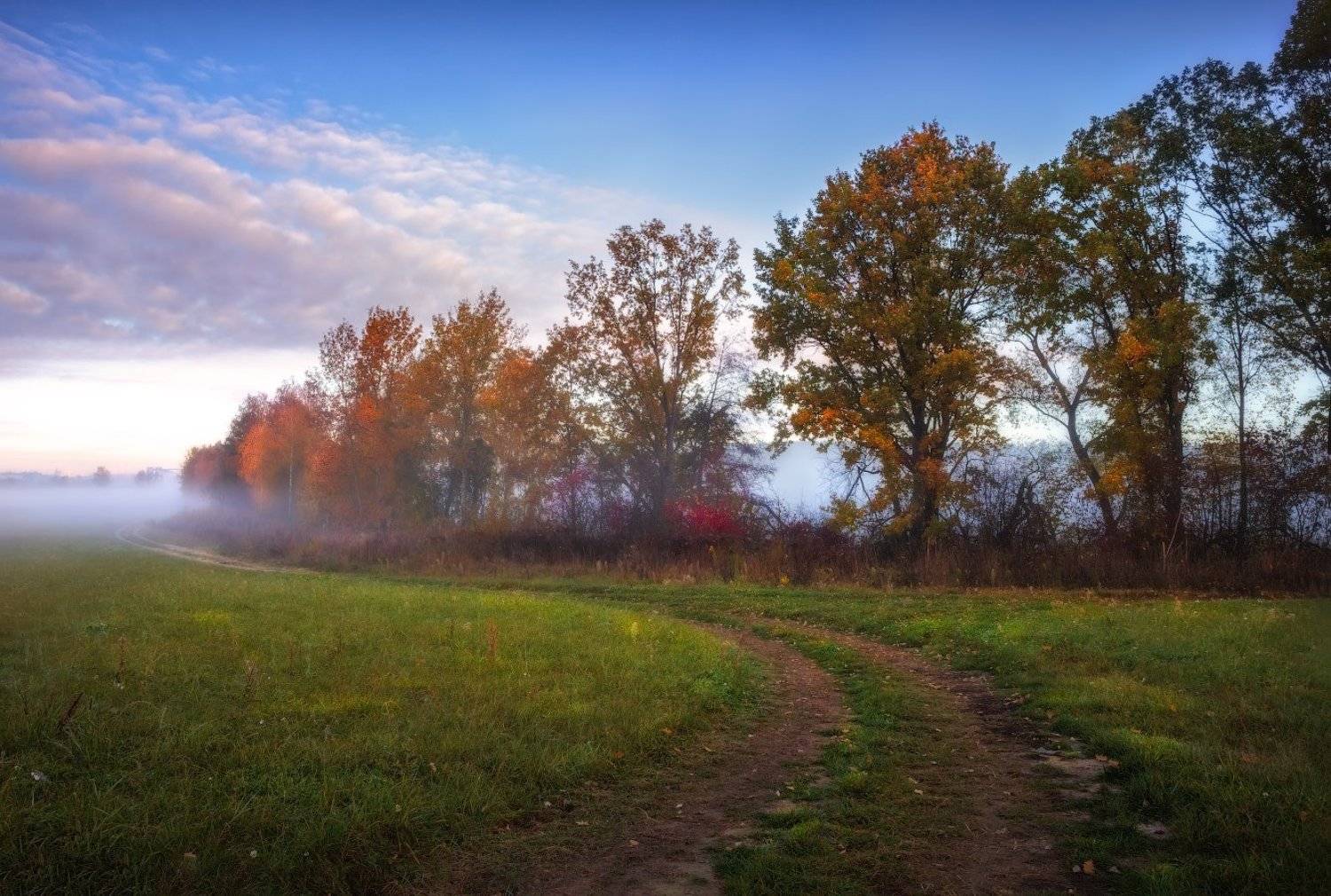 рассвет, осень,дорога, туман,, Сергей Шабуневич