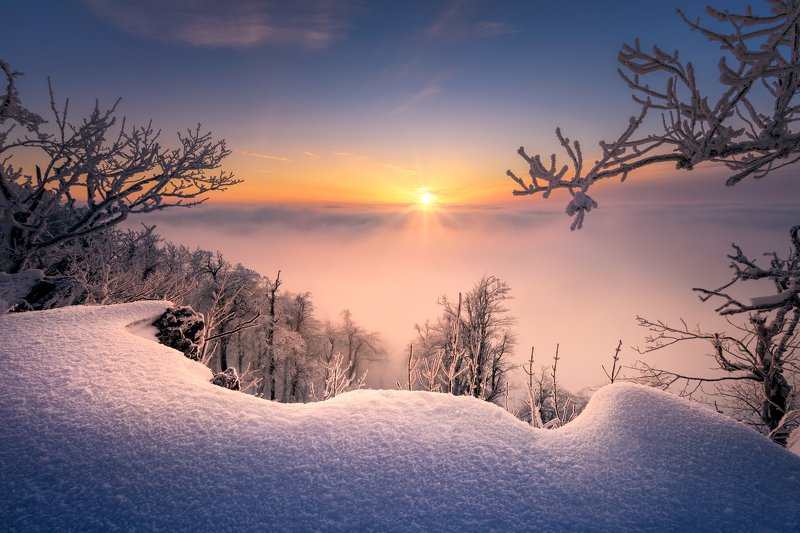 Tentacles of Little Carpathians фото превью