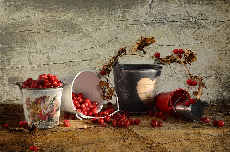 Натюрморт клюква деревянный стол В лесной сторожке  фото превью