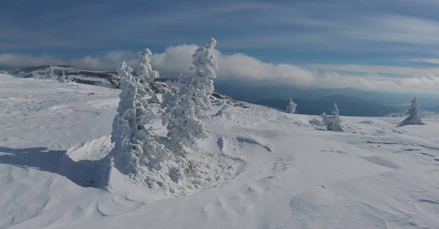 , Сергей Седов