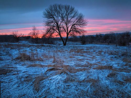 Winter sunset