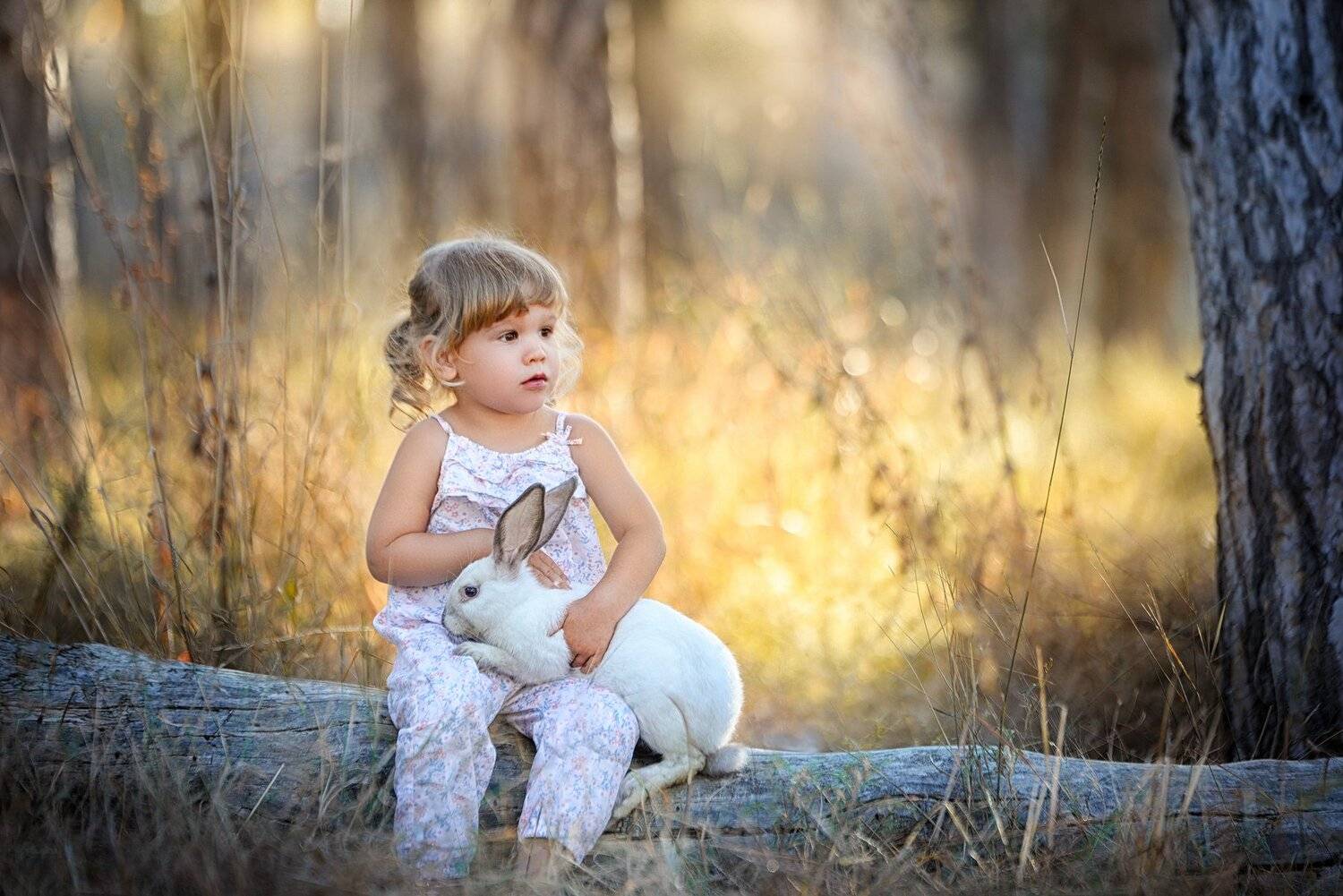 , Надежда Заручевская