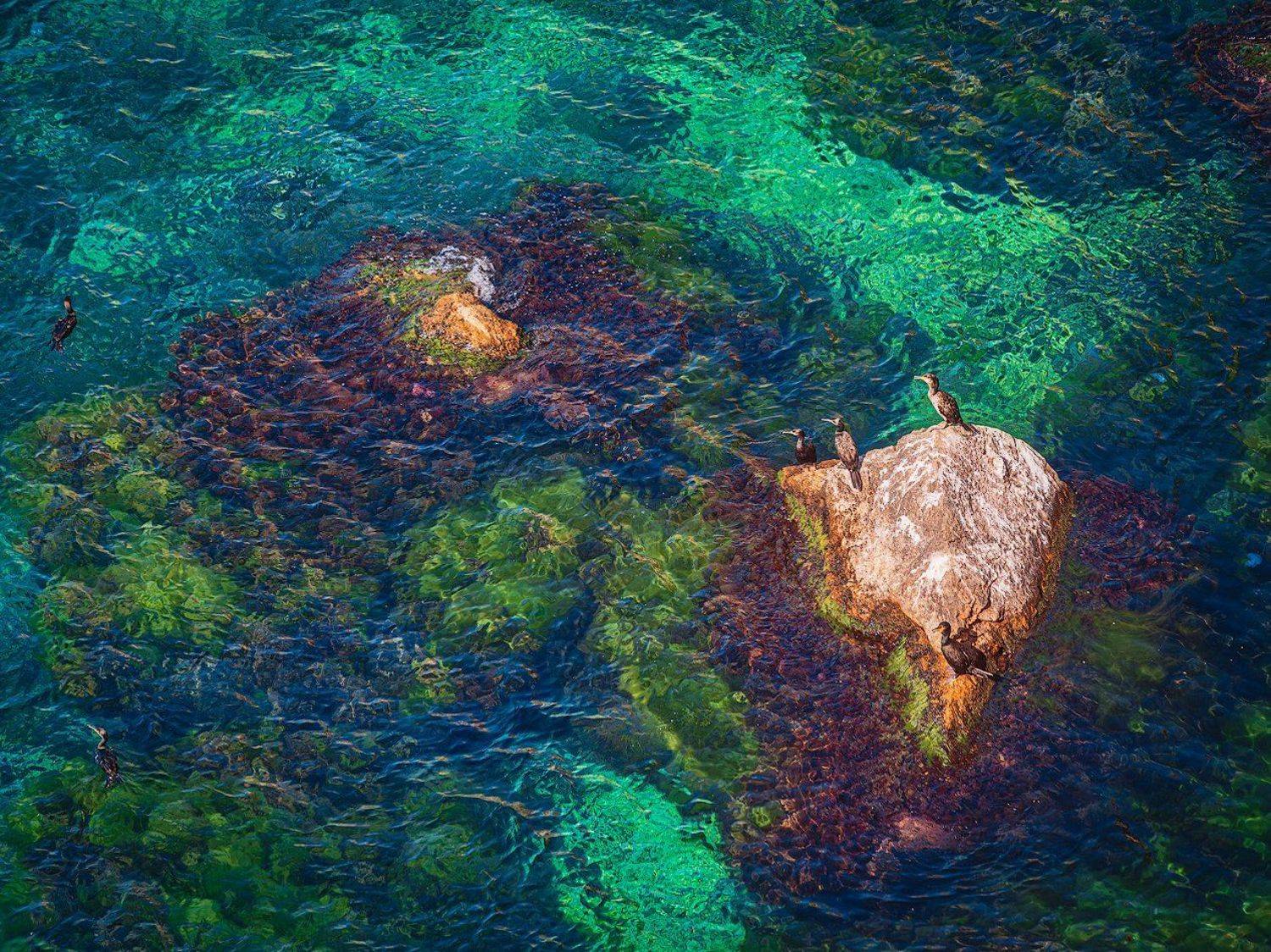 , Минаев Павел