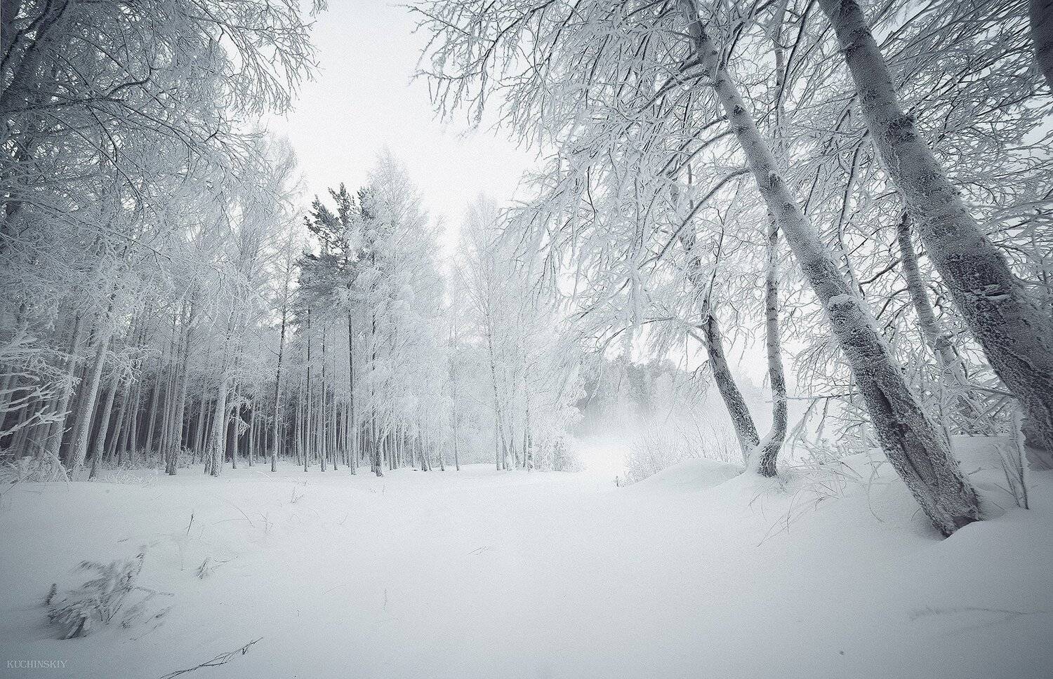 , Валерий Кучинский