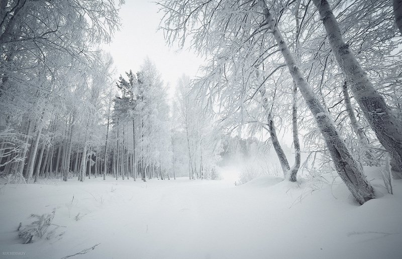 Белая мгла фото превью