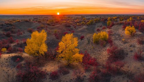 Осень на песчаных бурунах