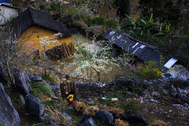 #sellingphoto #hagiang Spring фото превью