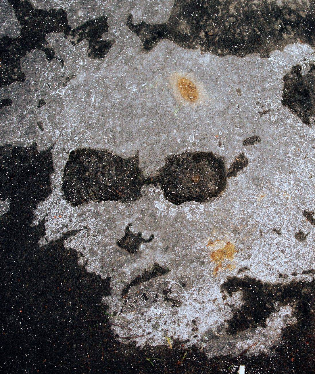 pareidolia, ПОЛУЕВ ИЛЬЯ