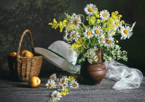 Ромашки