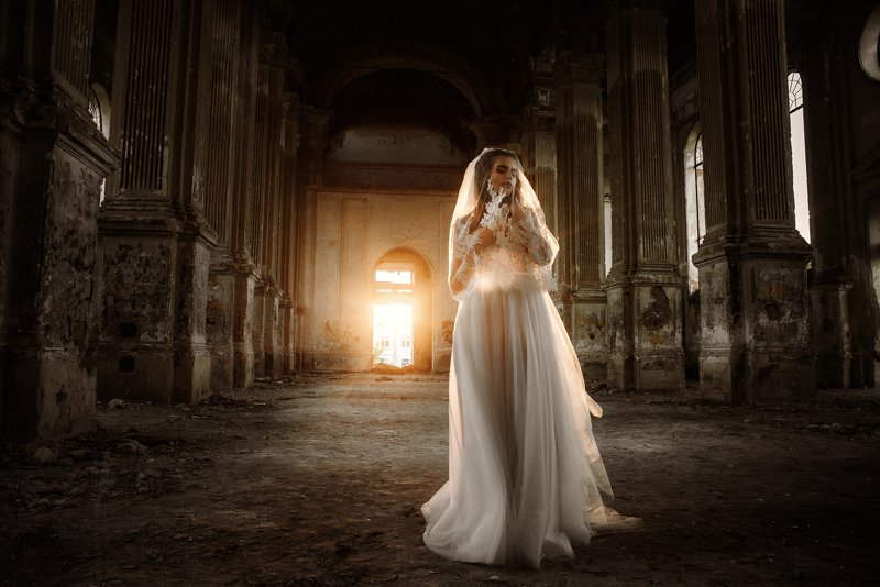 Свет фото превью