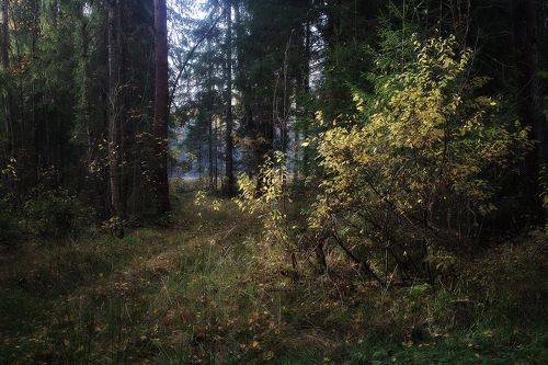В октябре