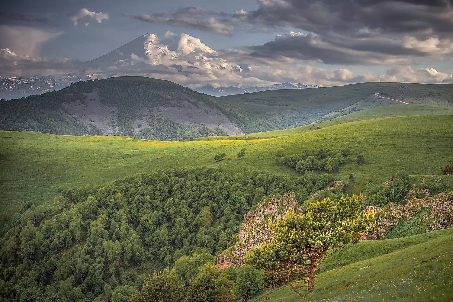 , Елена Маковоз