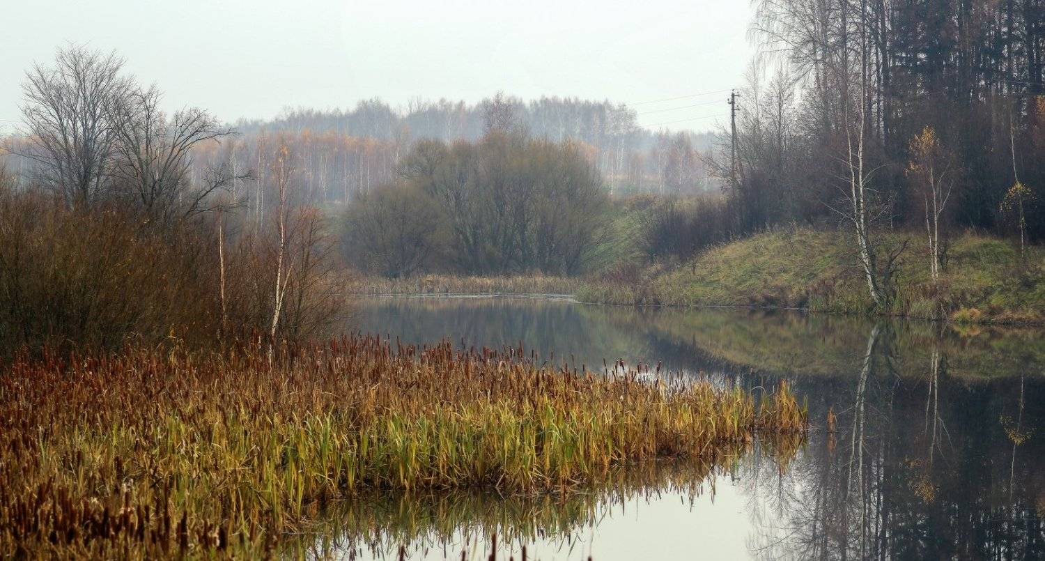 октябрь лукново, Дмитрий Алексеев