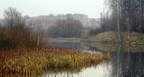 Тихое место