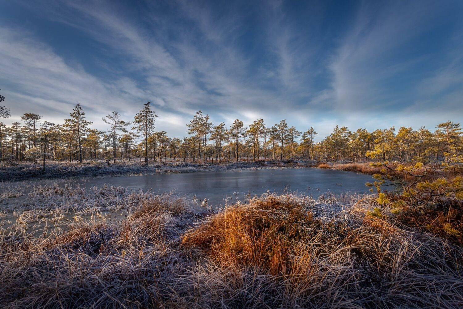 , Елена Маковоз