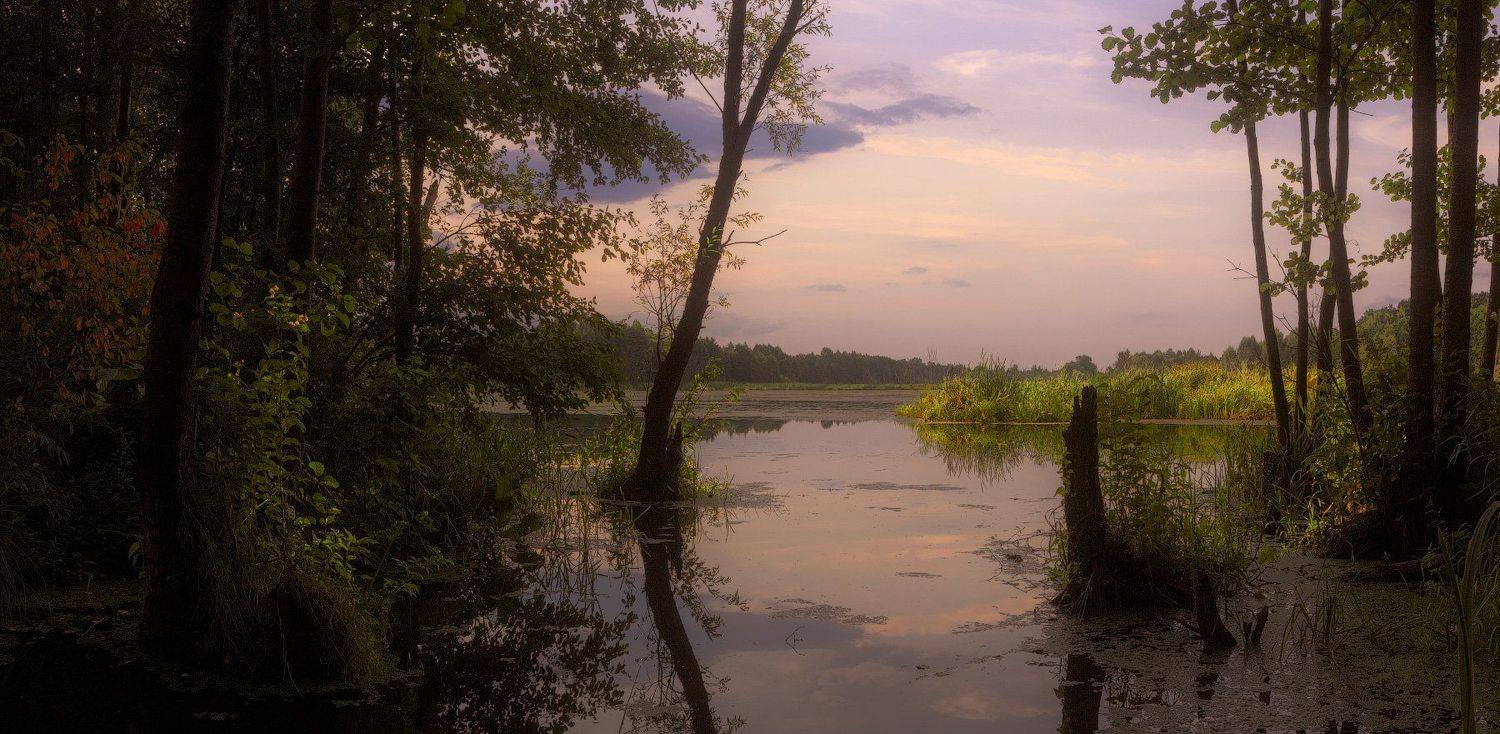 лето, июнь, река Клева, зелень, отражение, облака, Михаил Кушнер