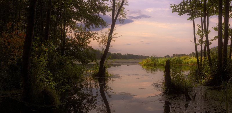 лето, июнь, река Клева, зелень, отражение, облака В тени лета фото превью