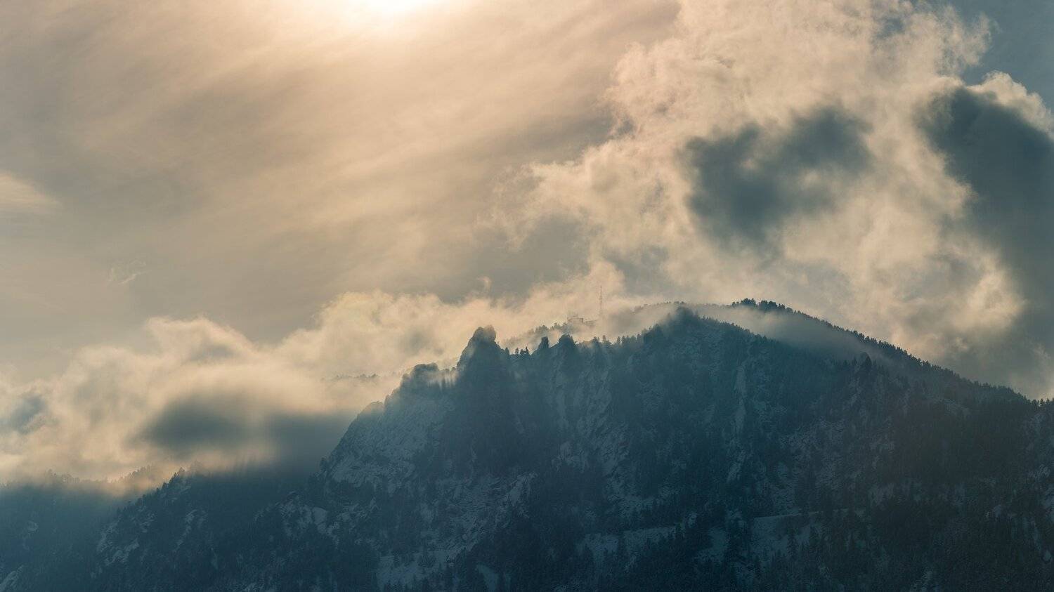 , Илья Данилов