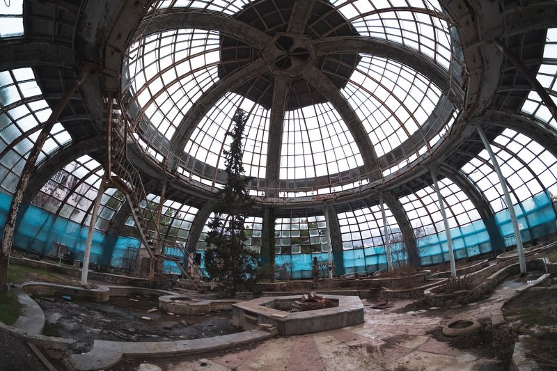 крым, зимнийсад Зимний сад фото превью