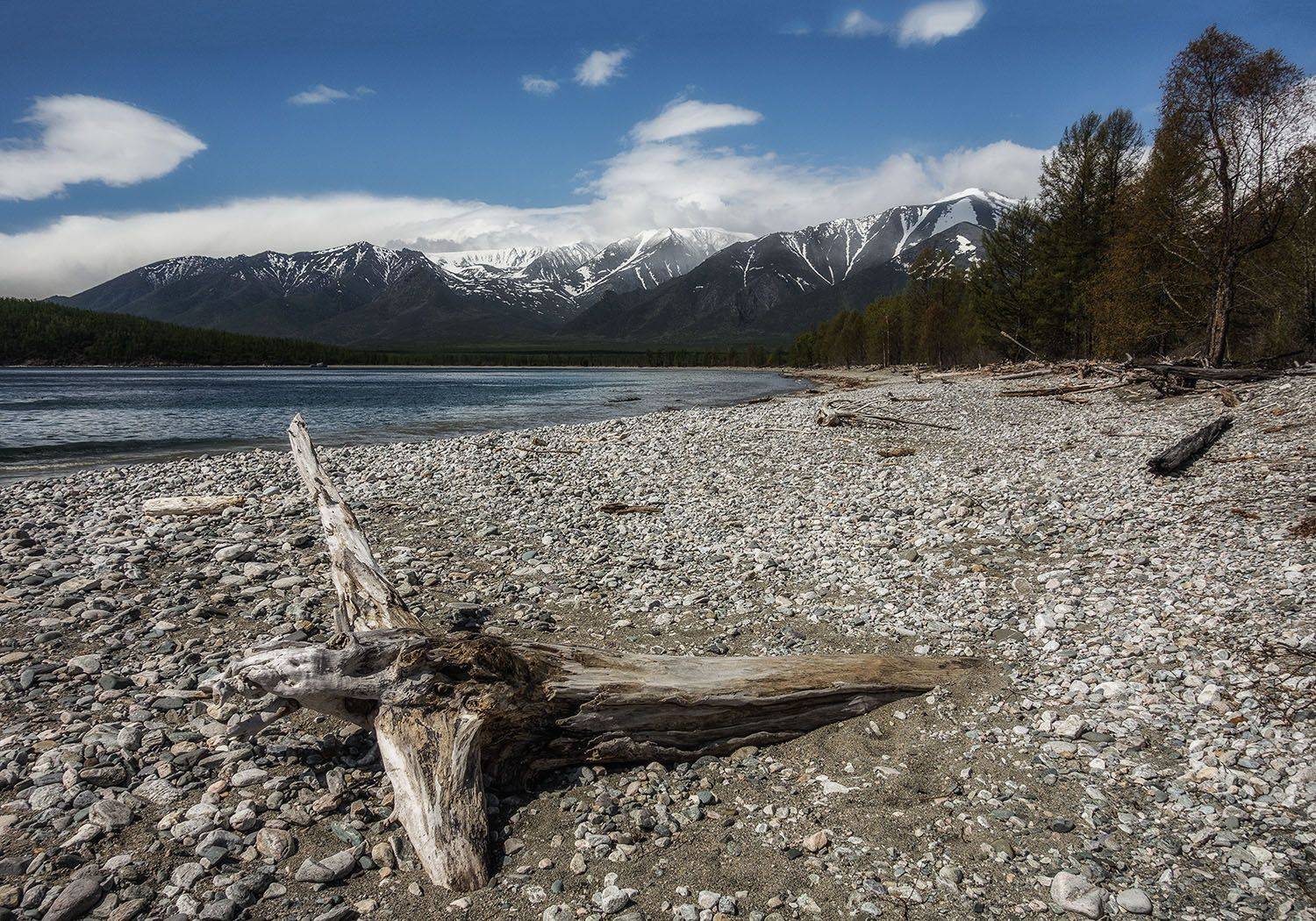 байкал, молокон, Gunter Graiss