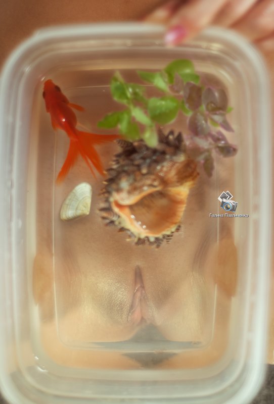 art nu,  photo, photography, eroticism, sexual, artistic erotica, girl, naked body, nude, nu, топлес, фотохудожники, художественная фотография, ретушь, эротика, ню, обнажённое тело, сексуальность, фотосессии в краснодаре Сказка о золотой рыбке... фото превью