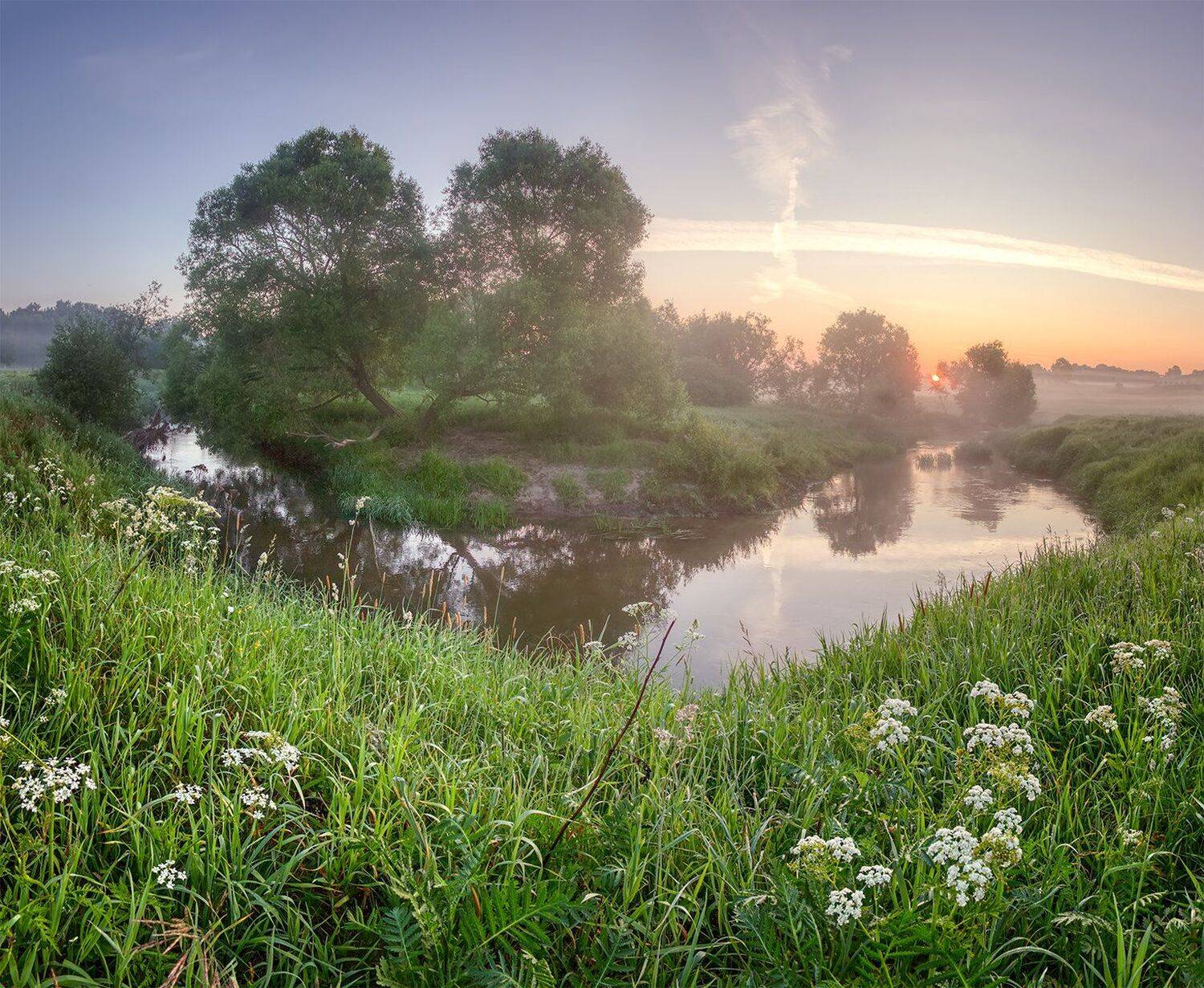 , Николай Андреев