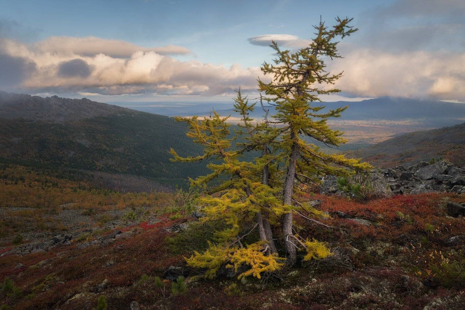 , Михаил Туркеев