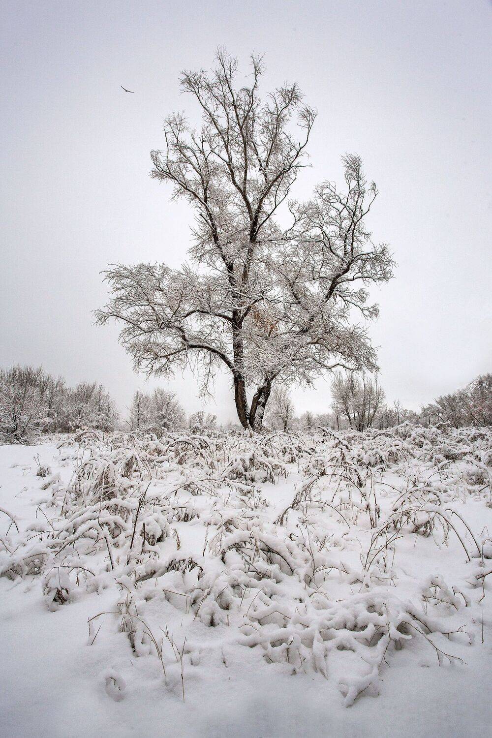 южный, урал, губерля орск, новотроицк, Качурин Алексей