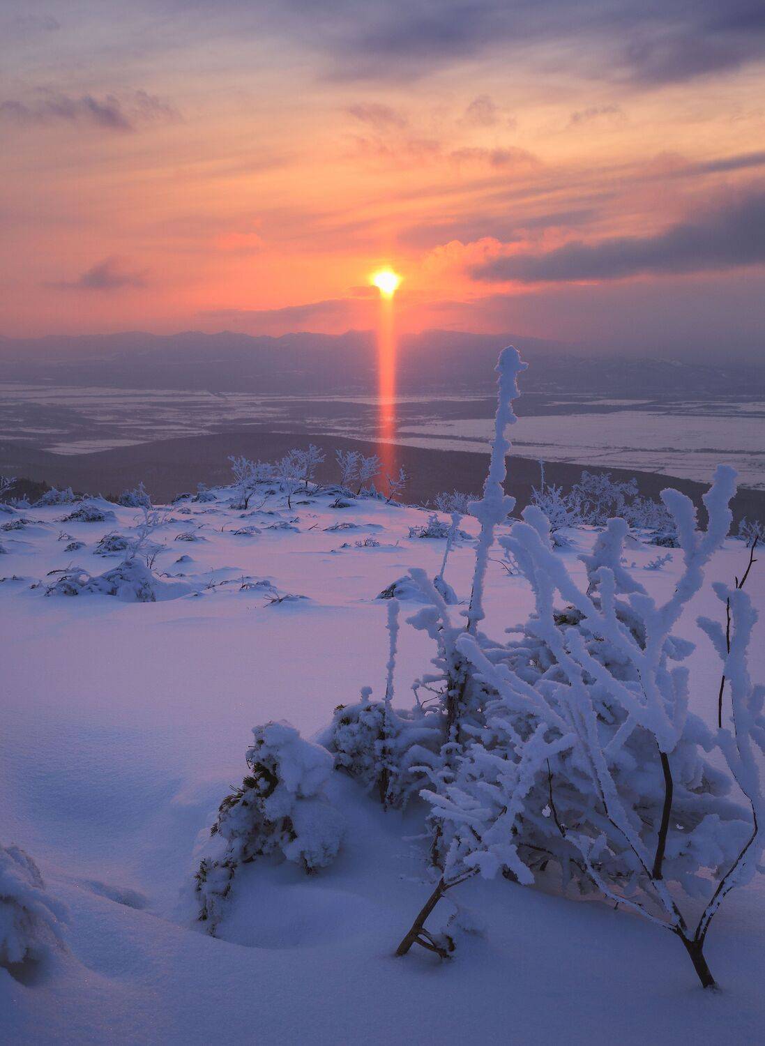 , Артем Удодов