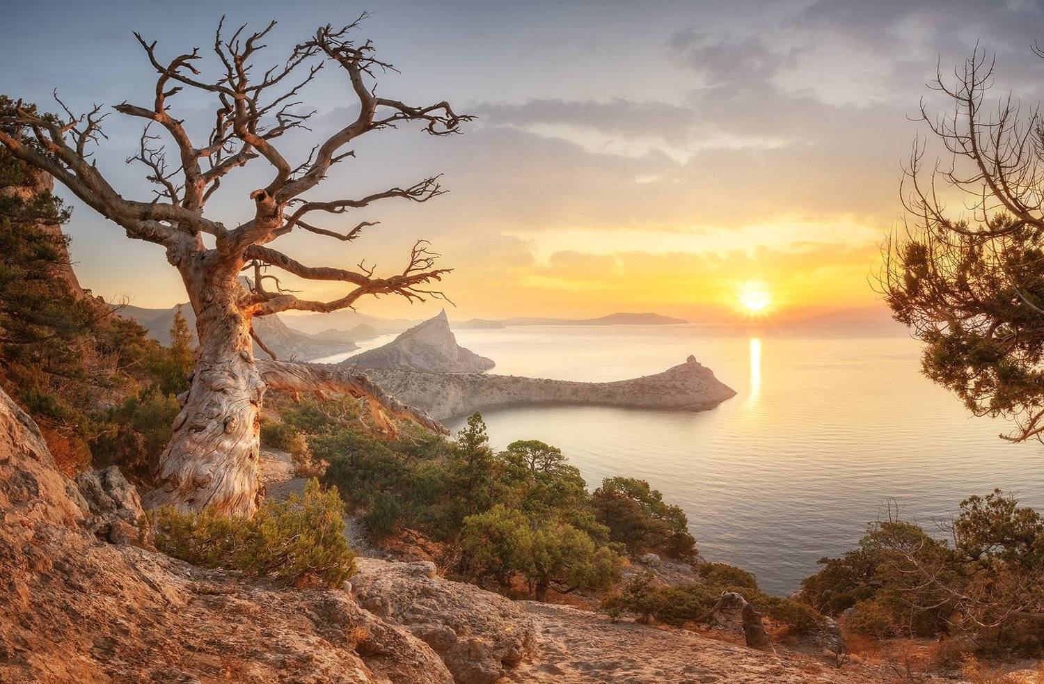 , Александр Костенко