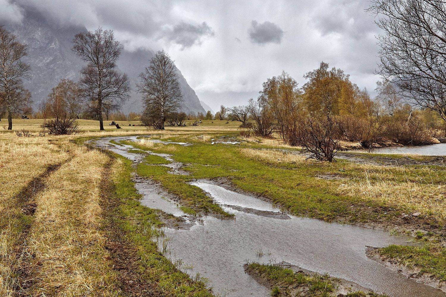 алтай, ледник актру, актру, алтайский край, долина, весна,осень, лиственницы, ледник,ледники, Качурин Алексей