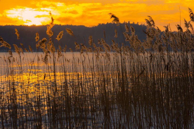 I walk around Warmia фото превью