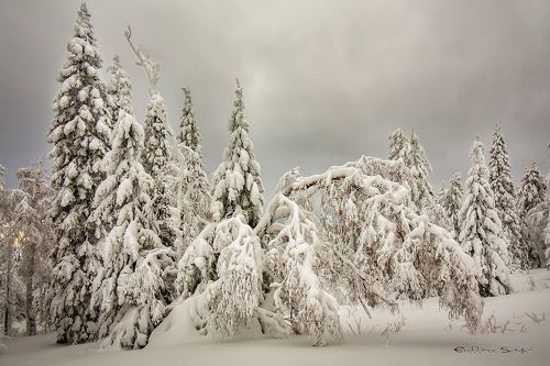 Природа Южного Урала
