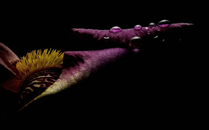 Состояние фото превью