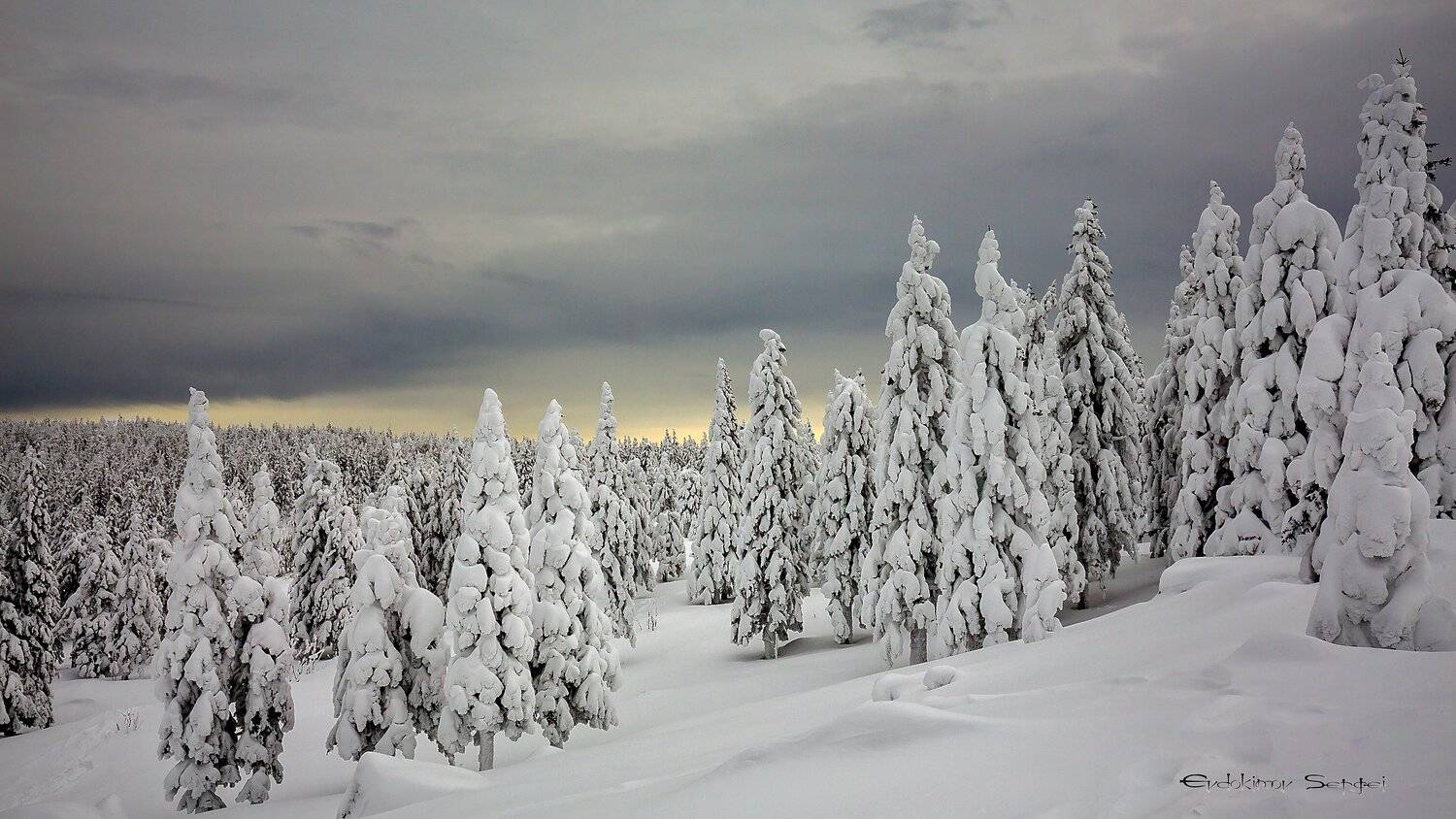 , Сергей Евдокимов