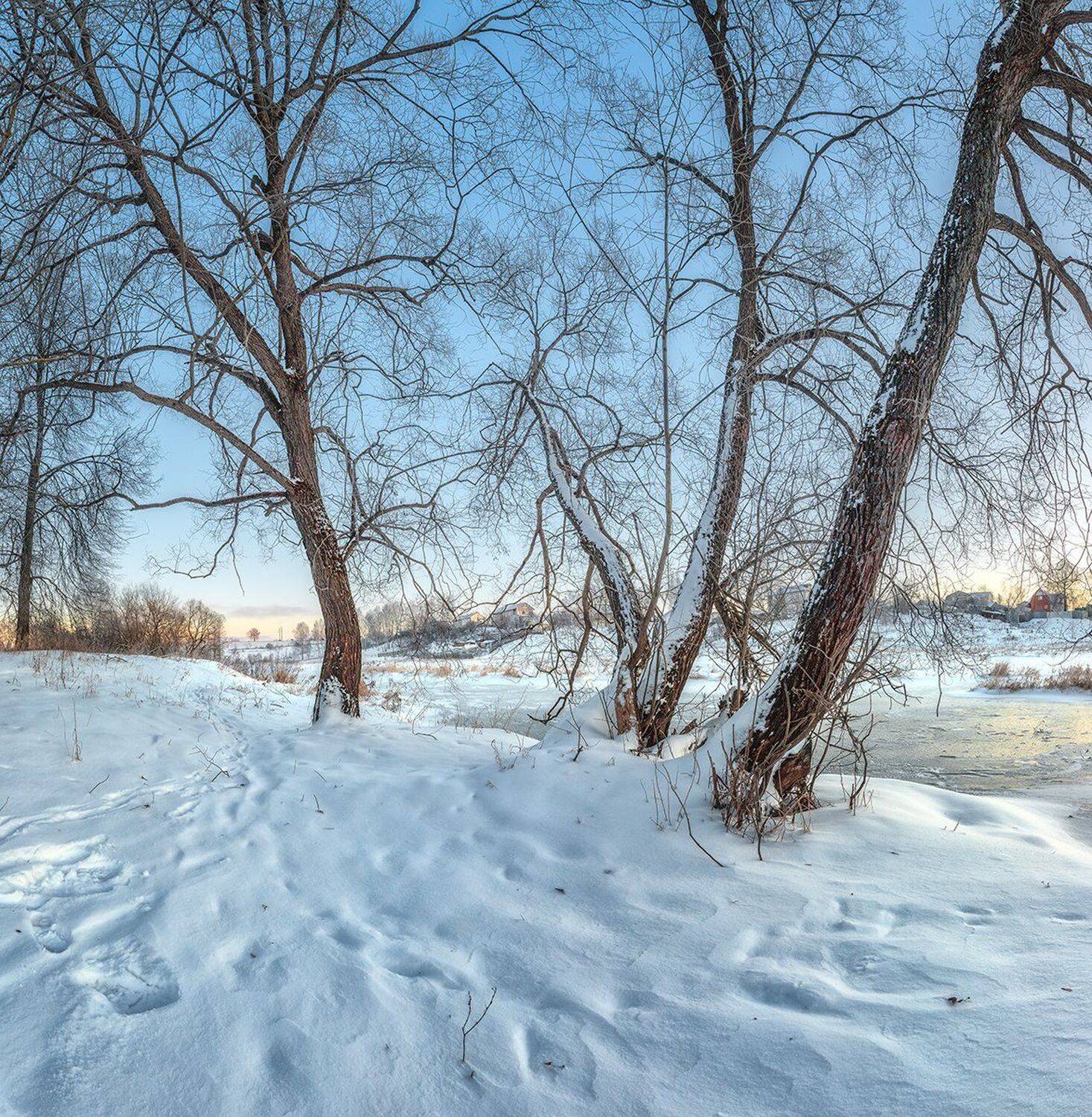 , Николай Андреев