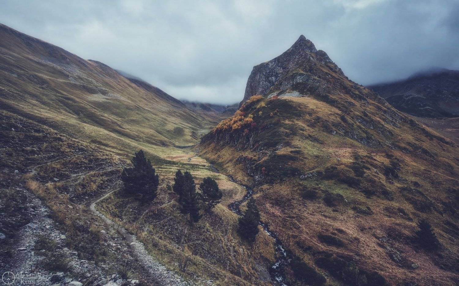 , Александр Круль