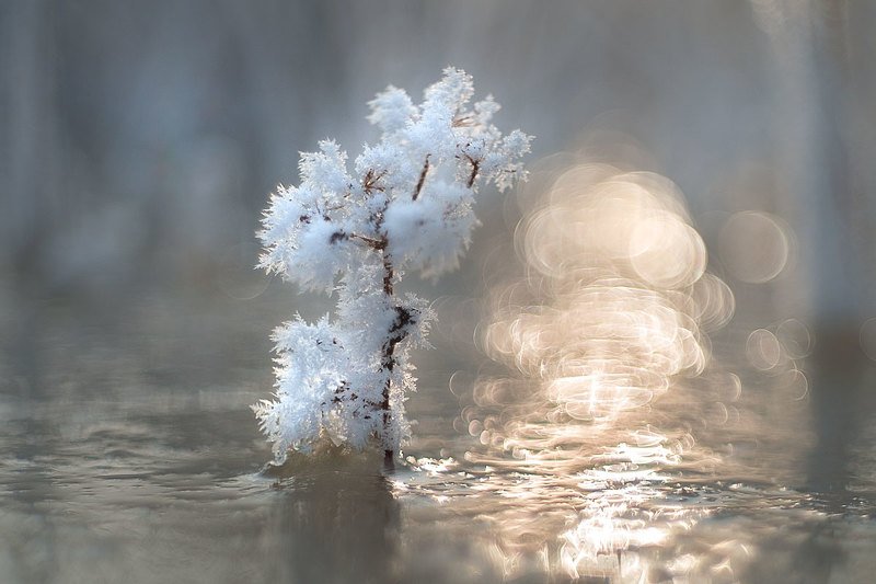Февральские этюды на наледи фото превью