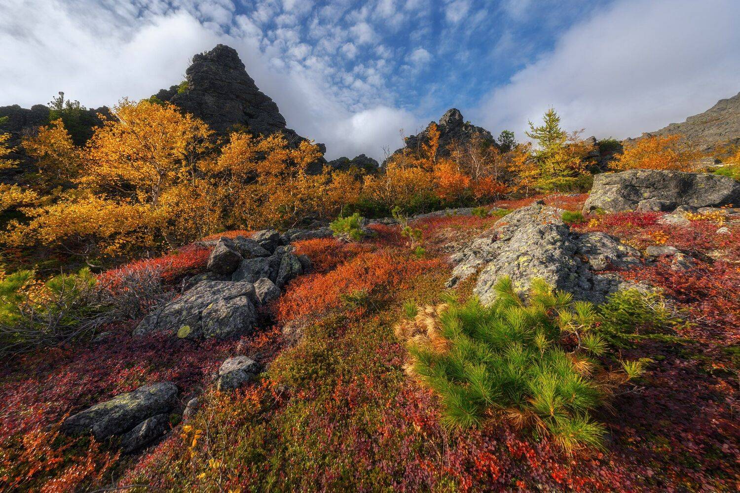 , Михаил Туркеев