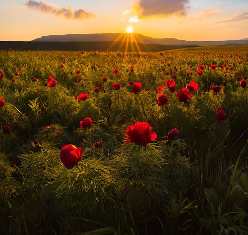 Скоро весна