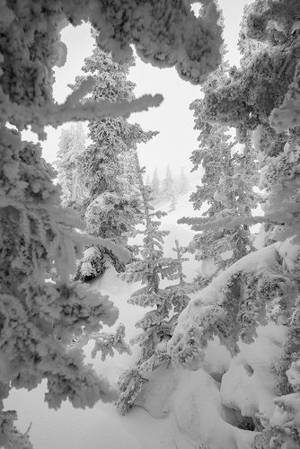 Pro зимние вертикали Шерегеша