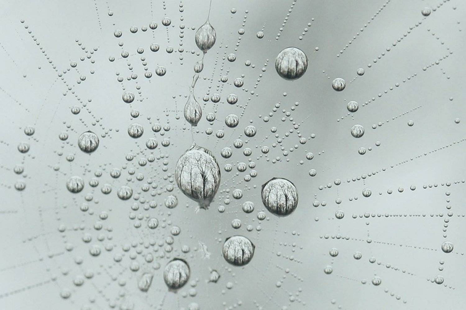 , Фролова Евгения