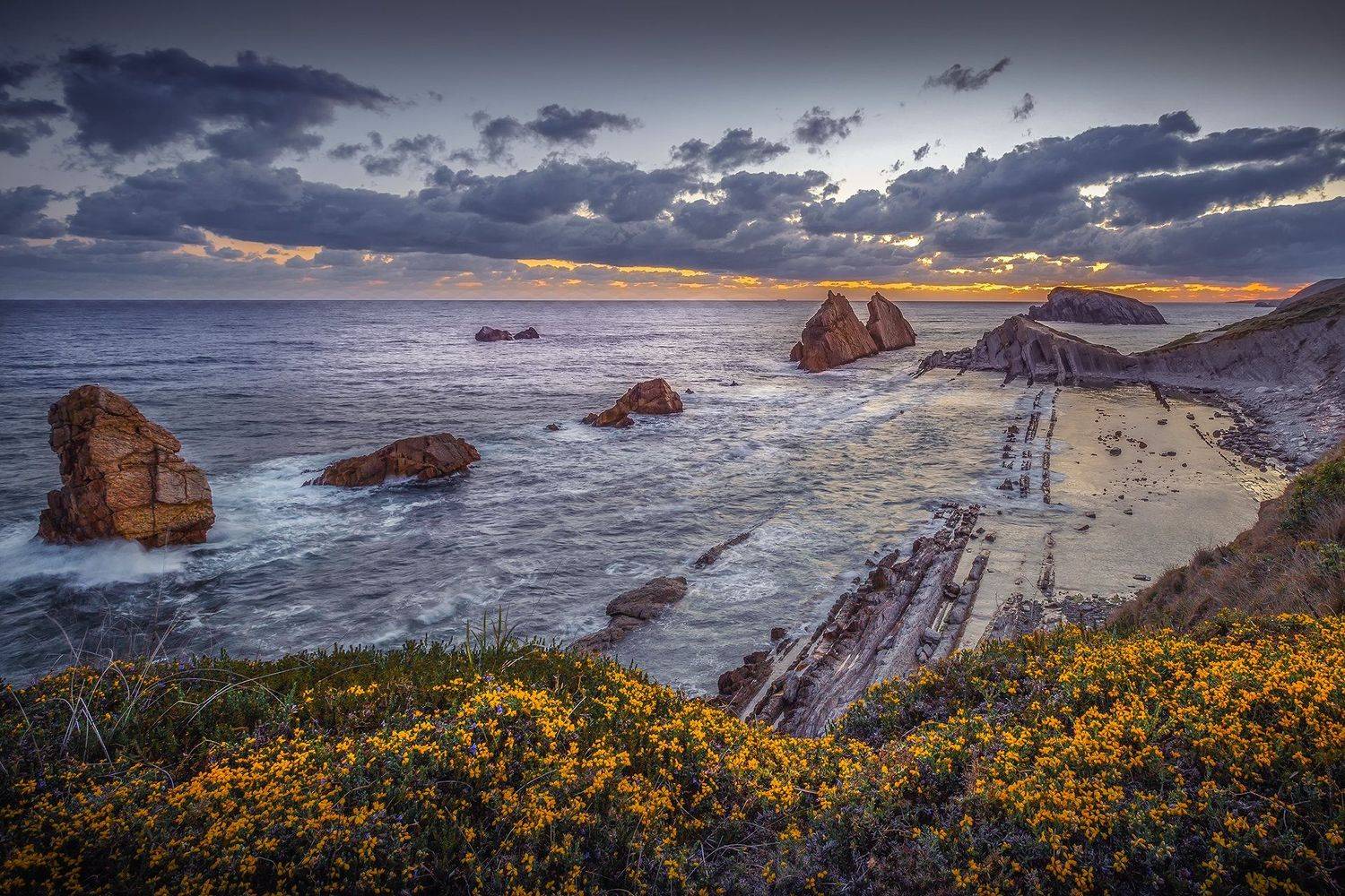 , Елена Маковоз