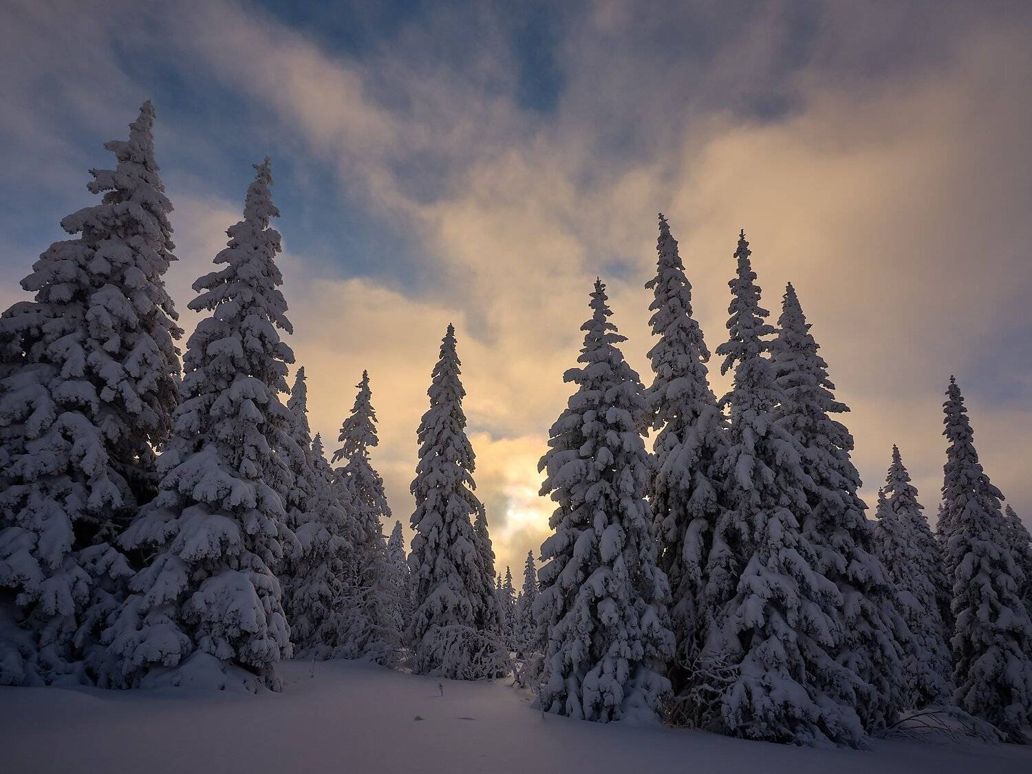 , Сергей Межин