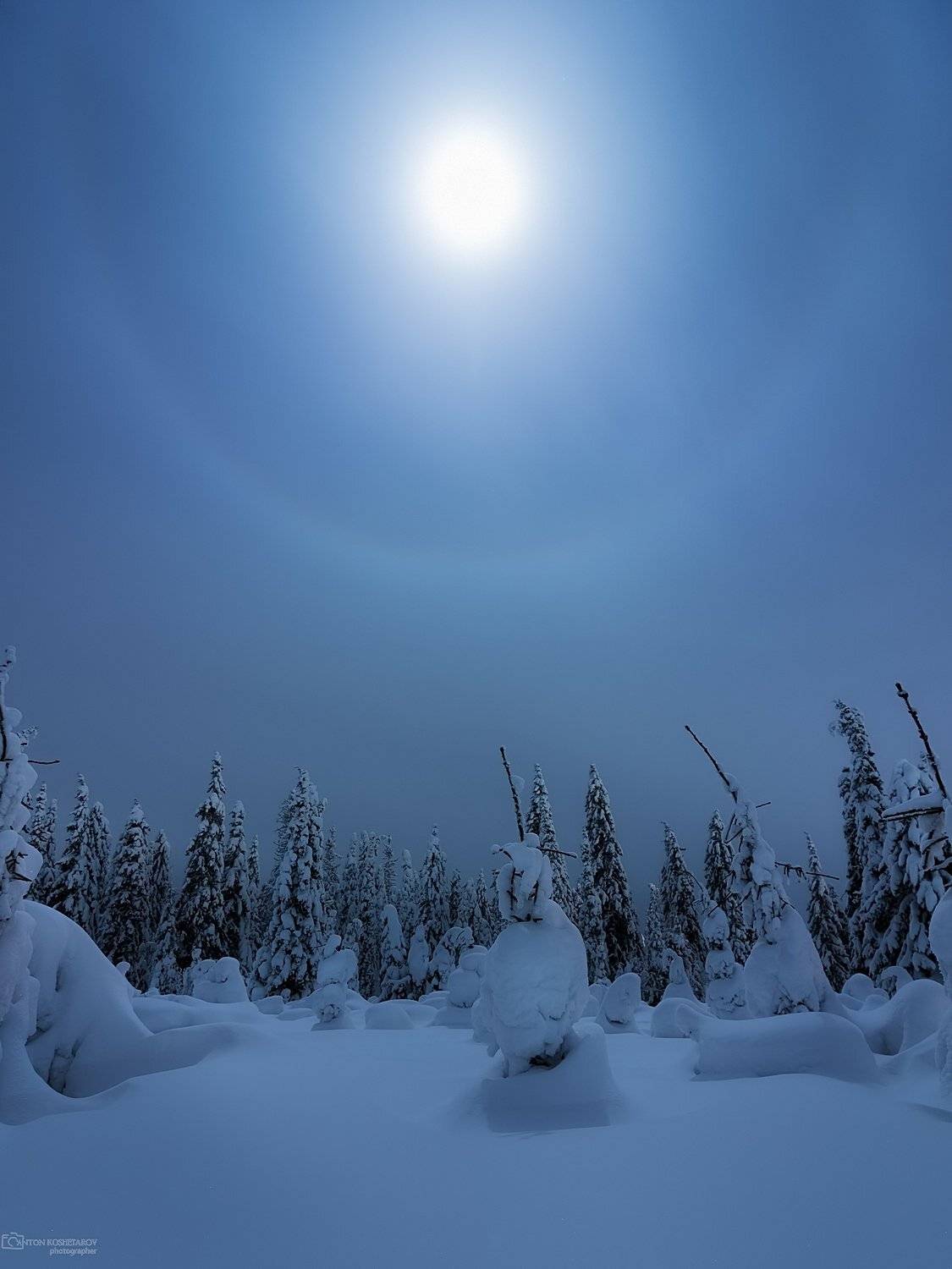 , Антон Кошетаров