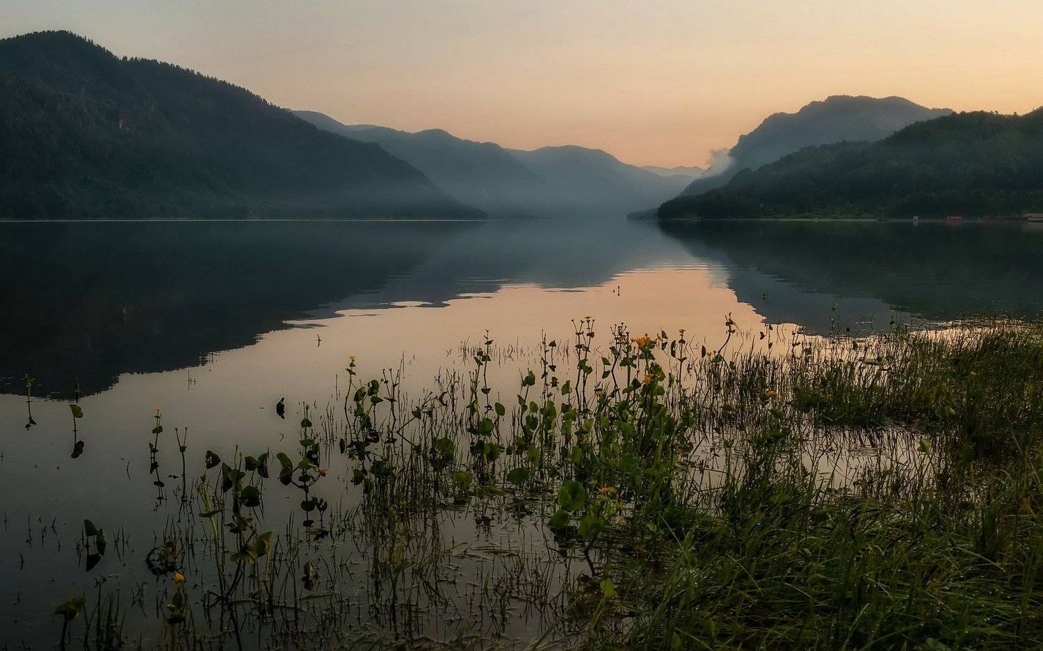 Телецкое озеро, рассвет. утро., Марина Фомина