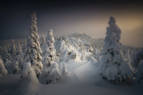 В зимней тишине